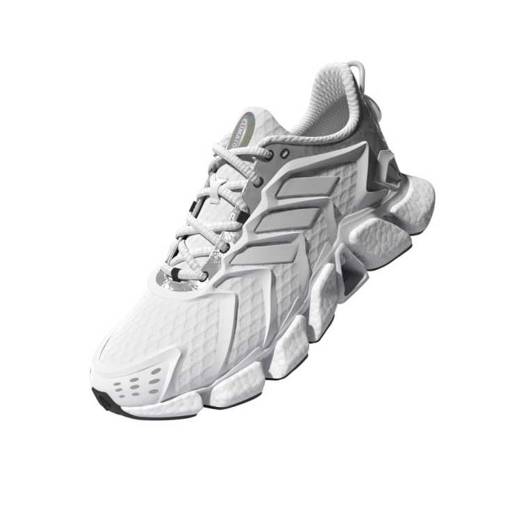 Climacool BOOST Shoes