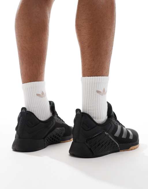 adidas gazelle silver green womens ADIDAS MEN'S ADIZERO EVO SL  Luke's Locker Running & Fitness