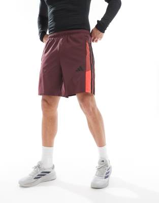 asos adidas Training Essentials shorts with 3 stripe in burgundy
