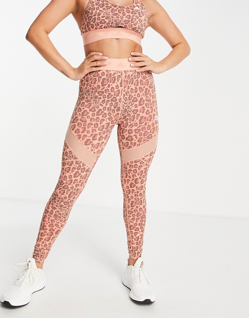 adidas Training leggings with insert detail in orange leopard print