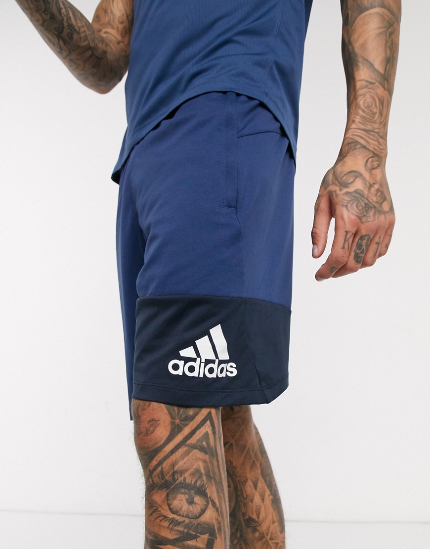 adidas – Training – Marinblå shorts med färgblock och logga
