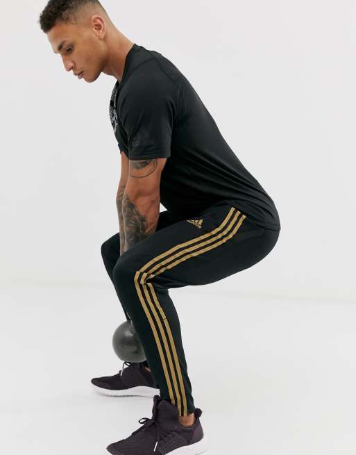 Adidas black and store gold track pants