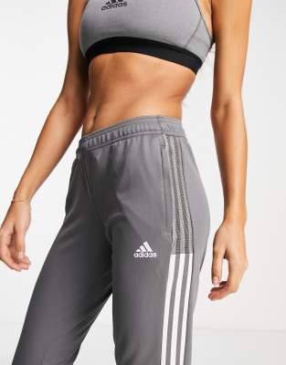 normal track pants