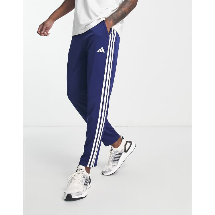 Jogging adidas gris bande on sale bleu