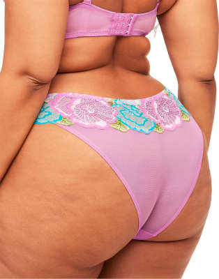 Adore Me Colete Hipster Panties In Purple