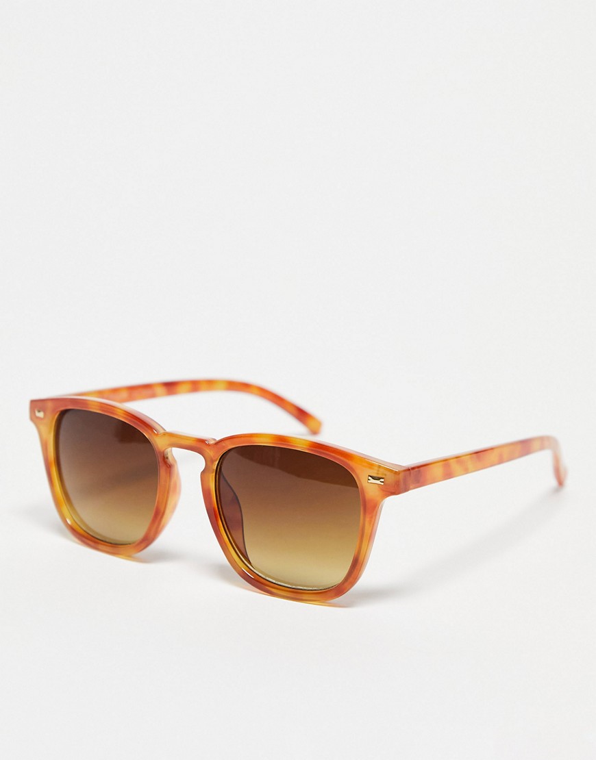 census taker square sunglasses in tort-Brown