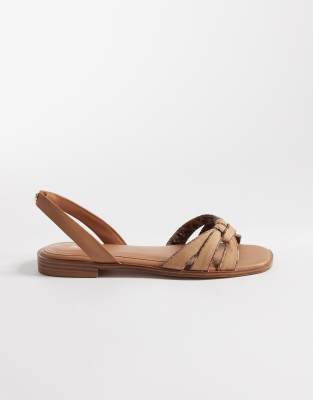 Aldo Adwiedan Flat Sandals In Brown