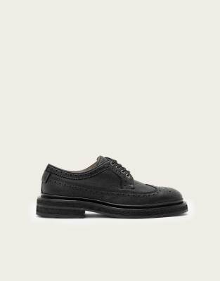 Allsaints Escher brogue in black