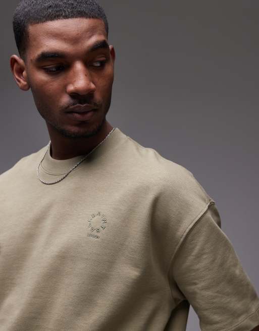 AllSaints Haven small embroidered chest logo t-shirt in light ash green