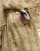 Bildrutor 5 av 5