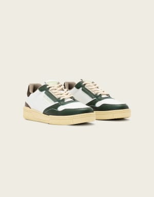AllSaints Regan leather low top trainers in white and green