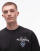 Thumbnail 5 von 5