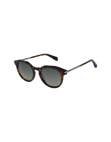 AllSaints Van sunglasses in brown