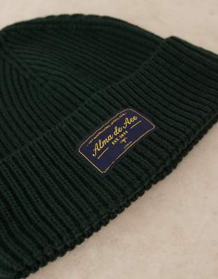 Alma De Ace Knit Beanie In Green
