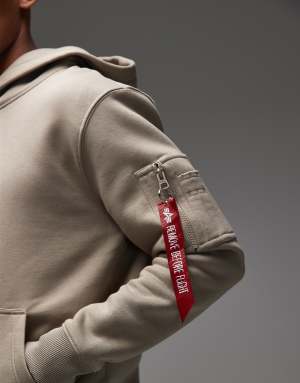 Alpha Industries tonal logo hoodie in stone