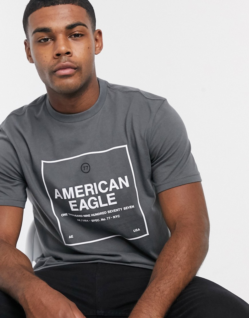 American Eagle - T-shirt met logo in kader in grijze wassing-Grijs