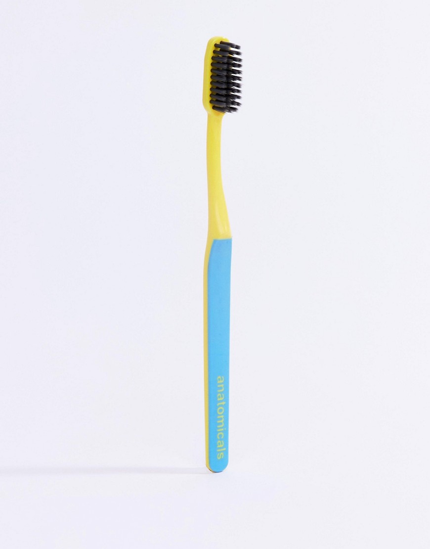 Anatomicals – And Ain't That The Tooth The Better Brush Charcoal Toothbrush – Blå tandborste-Ingen färg