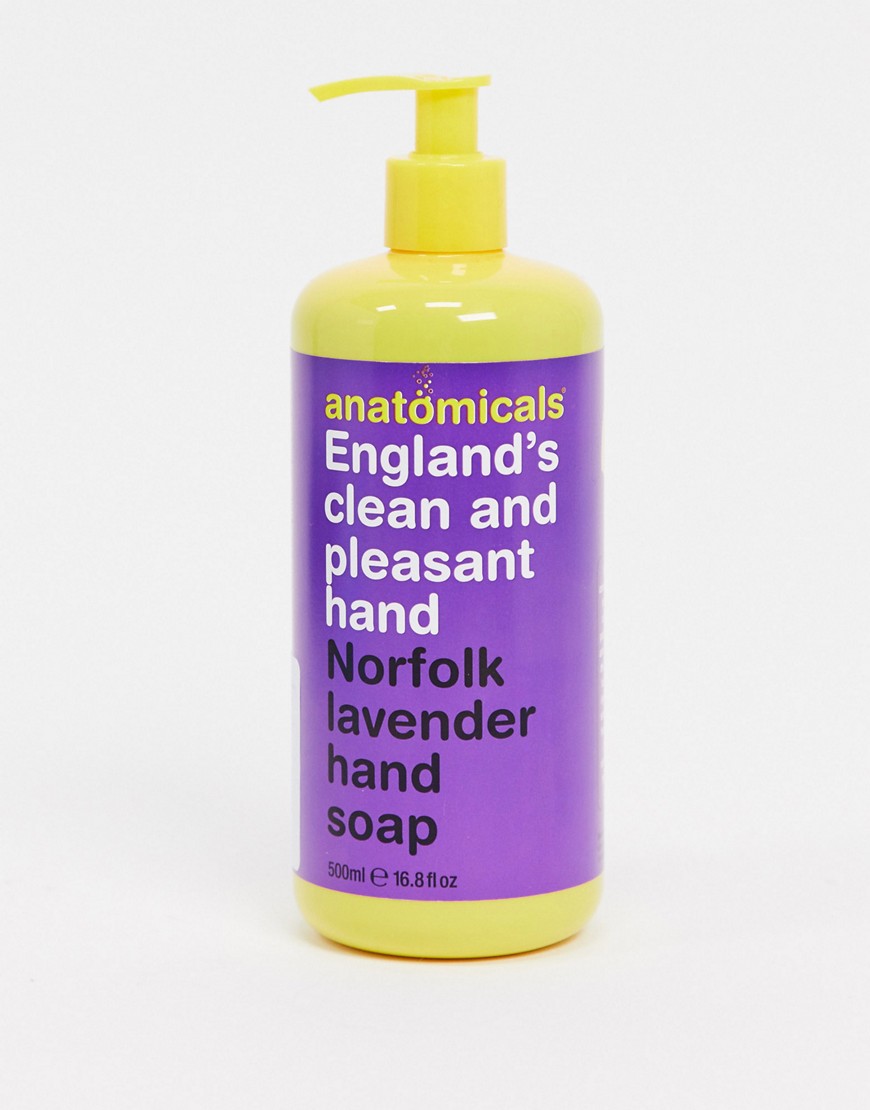 Anatomicals - Clean And Pleasant Hand - Håndsæbe 500 ml-Ingen farve