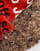 Thumbnail 3 von 4