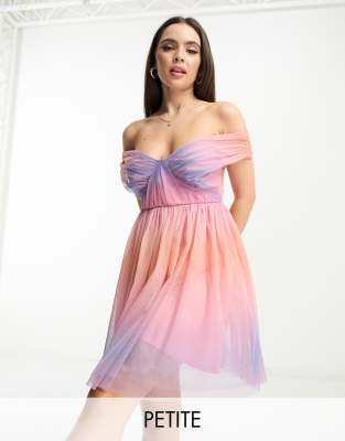 Anaya Petite bardot tulle mini dress in ombre - ASOS Price Checker