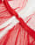 Thumbnail 3 van 4