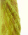 Thumbnail 3 van 5