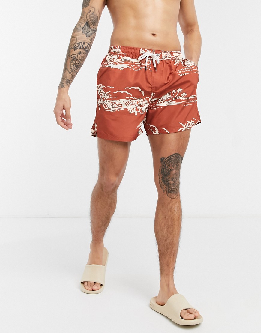 Another Influence swim shorts-Brown