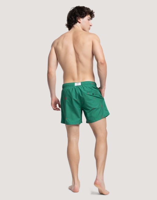 Apreslife Icons swim shorts in green, 4 of 4