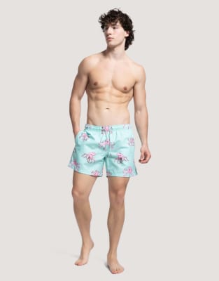 Green Shorts 3