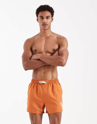 Aray Embroidered Swimshort In Orange