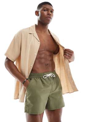 palm embroidered swim shorts in khaki-Green