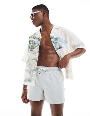 plain swim shorts in gray