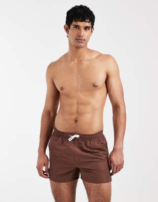 Aray Swim Shorts In Brown