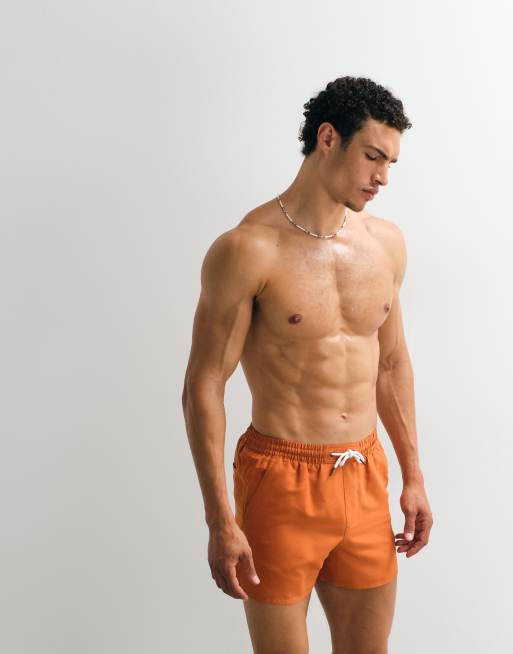 Aray swimshort in rust, 4 of 7