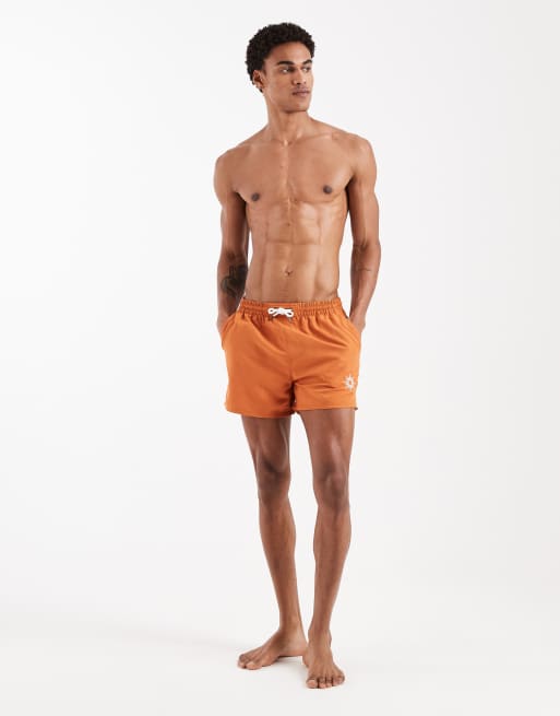 Aray - Zwemshort met borduursel in roestbruin, 2 van 5