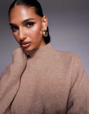 Aria Cove High Neck Rib Knit Sweater In Brown