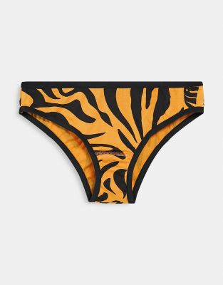 Aries briefs in tiger print