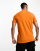 Thumbnail 4 von 4