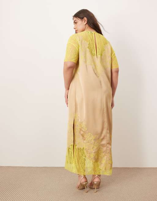 ARRANGE Curve satin embroidered lace applique column midi dress in taupe and lime, 3 of 4