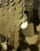 Thumbnail 5 of 5