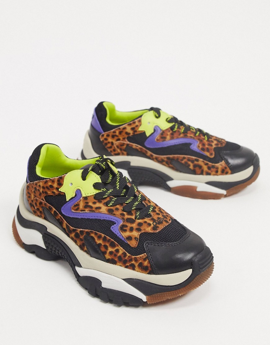 ASH addict chunky trainers in leopard mix-Multi