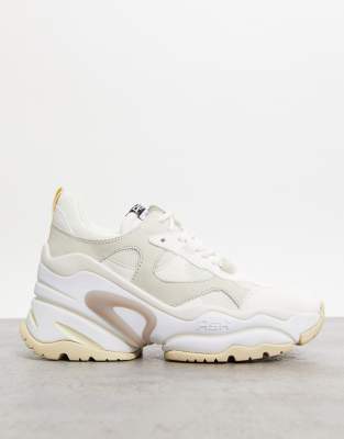 asos ash trainers