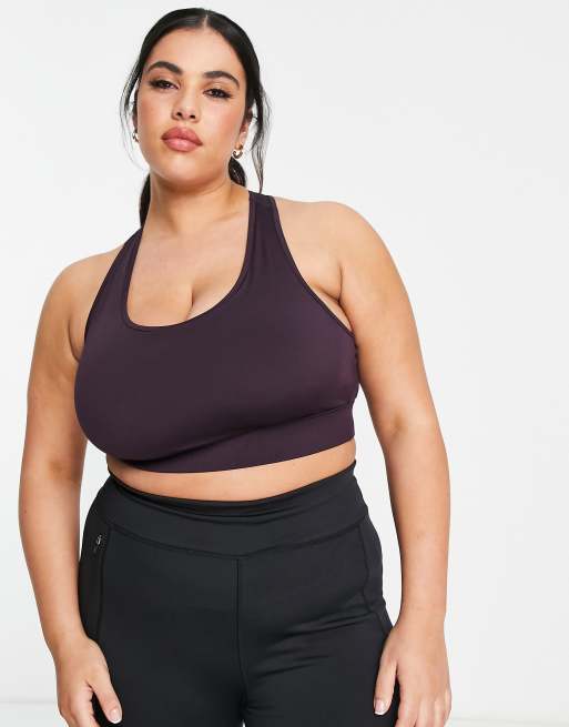 Purple Scoop Neck Bra