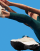 Thumbnail 3 van 4
