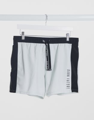 speedo women's swim shorts