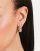Thumbnail 3 of 4