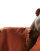 Thumbnail 3 of 5