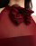 Thumbnail 2 von 4