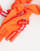 Miniatura 2 de 3