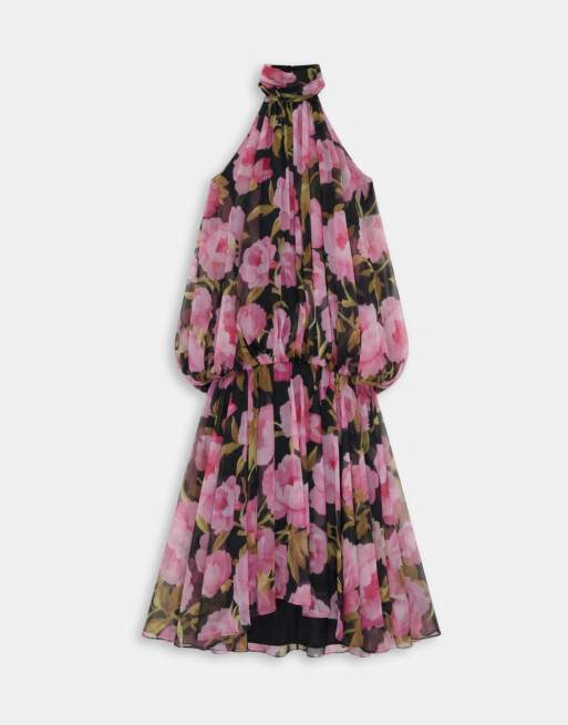 ASOS DESIGN Blouson-Halter-Maxikleid mit Rückenausschnitt und Blumenmuster, 5 von 8